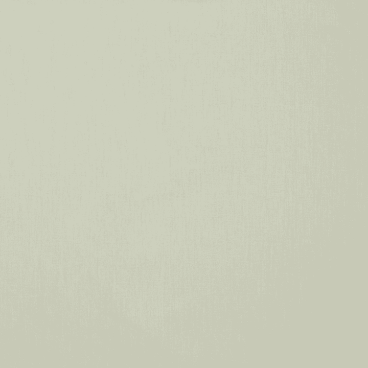 Beige poplin av 100% økologisk bomull (bilde 2 av 3)