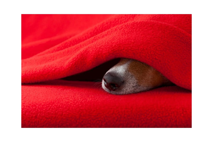 RÅHVIT POLAR FLEECE – ANTI-PILLING, VARM & LETT